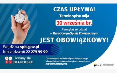 infografika spisu powszechnego