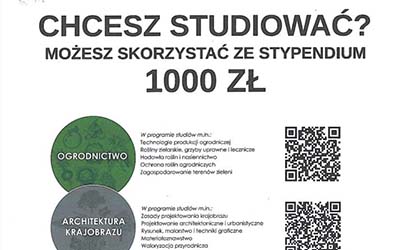 Stypendia dla najzdolniejszych studentów I roku